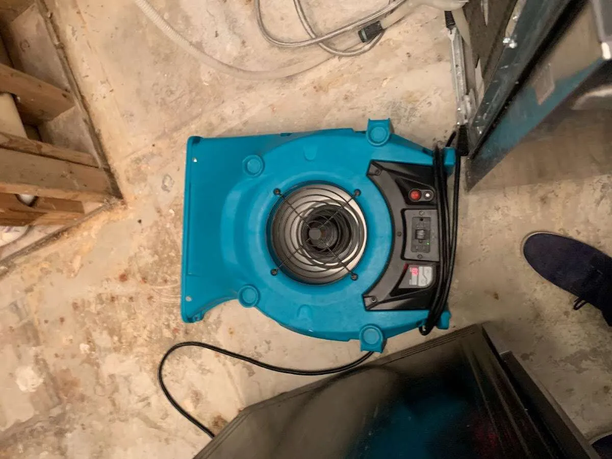Air mover drying equipment for Mold Remediation & Removal in Kinston
